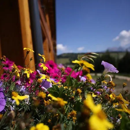 Floralpina 4*